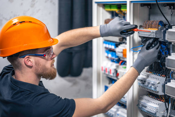 Best Home Electrical Repair  in Elgin, MN